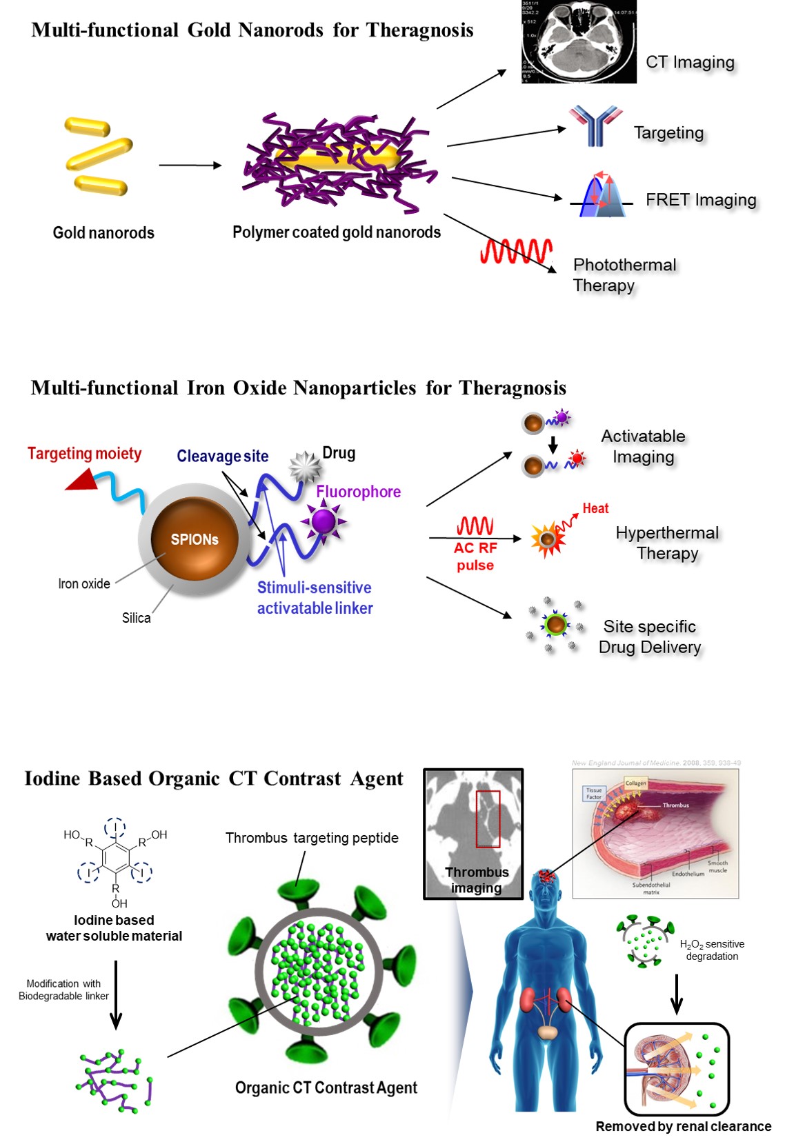 Molecular Imaging - 나노바이오재료연구실